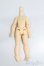 画像1: azone/ピコニーモPボディ S-25-07-20-229-GN-ZS (1)