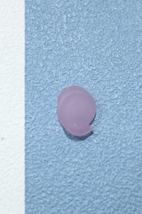 【新宿マルイアネックス店 店頭販売商品】COCORIANG/前髪パーツ 2100150000014721-ZM