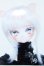 画像1: 【新宿マルイアネックス店 店頭販売商品】DDH-27/カスタムヘッド 2100150000014754-ZM (1)