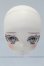 画像2: 【新宿マルイアネックス店 店頭販売商品】DDH-27/カスタムヘッド 2100150000014754-ZM (2)