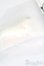画像3: H-nest/Sio S-25-07-20-236-GN-ZS (3)