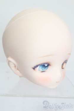 画像3: DD/DDH-01カスタムヘッド S-25-07-27-015-GN-ZS