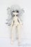 画像4: 一万回の脱出計画BJD/オオカミ 狼 QUIET WILDERNESS S-25-07-27-020-GN-ZS