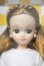 画像1: 【新宿マルイアネックス店 店頭販売商品】リカちゃん/リカちゃんキャッスル 2022年S月間ドールコレクション 7月 2100150000014927-ZM (1)