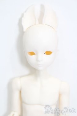 画像1: elfinstore/ノアS S-25-07-27-001-GN-ZS