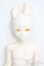 画像1: elfinstore/ノアS S-25-07-27-001-GN-ZS (1)