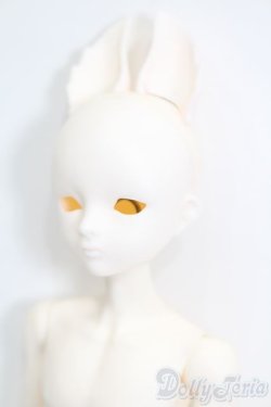 画像2: elfinstore/ノアS S-25-07-27-001-GN-ZS