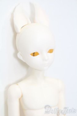 画像3: elfinstore/ノアS S-25-07-27-001-GN-ZS