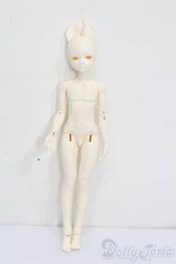 画像4: elfinstore/ノアS S-25-07-27-001-GN-ZS