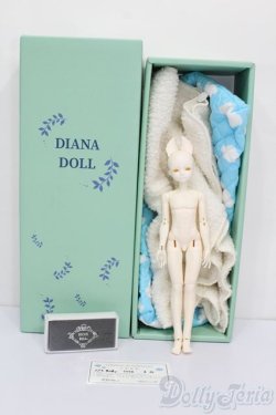 画像6: elfinstore/ノアS S-25-07-27-001-GN-ZS