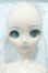 画像2: 【新宿マルイアネックス店 店頭販売商品】DD/初音ミク NT 2100150000015116-ZM (2)