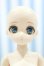 画像2: 【新宿マルイアネックス店 店頭販売商品】尾櫃制服計画/山本珠千花 シャッフル計画Ver. 2100150000015154-ZM (2)
