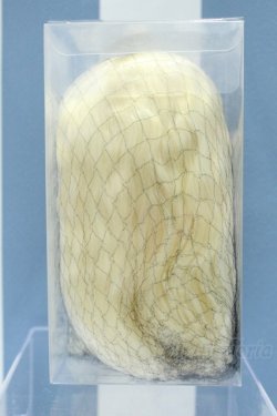 画像2: 【新宿マルイアネックス店 店頭販売商品】8.5-9inch/ウィッグ 2100150000015187-ZM