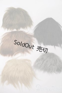 画像1: テヤン/ウィッグセット S-25-08-31-276-GN-ZS