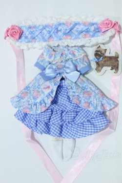 画像1: ネオブライス/OF:ディディーユリーカ S-25-11-23-015-GN-ZS