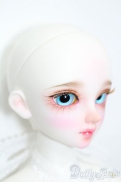 画像4: Dollsn/Luna Orange ver. S-25-09-28-455-GN-ZS