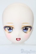 DD/DDH-29:燈籠茶屋様カスタムヘッド S-25-08-10-053-GN-ZS