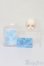 画像6: KISSDODO/mini Asuha ヘッド S-25-08-10-058-GN-ZS