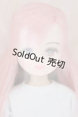 リカちゃんキャッスル/モデルNo.13286B パレットFV2:2024年神戸三宮BASICモデル S-25-12-07-003-GN-ZS