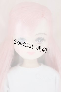 画像1: リカちゃんキャッスル/モデルNo.13286B パレットFV2:2024年神戸三宮BASICモデル S-25-12-07-003-GN-ZS