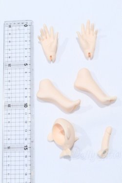 画像2: Coral Reef Doll /手足パーツ :1/4 Boy Body Mermaid Ver. (虎鯨体鯨人) S-26-01-18-073-GN-ZS