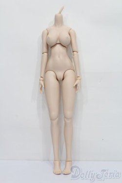 画像1: DDdy/ベースボディ S-25-08-10-110-SK-ZS