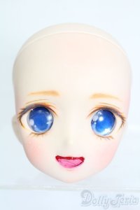 DD/DDH-04:カスタムヘッド S-25-11-02-531-SK-ZS