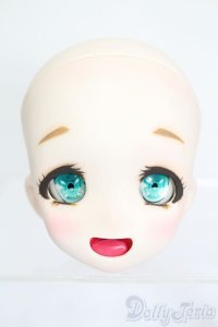 DD/DDH-04:カスタムヘッド S-25-11-02-513-SK-ZS