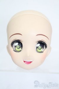 DD/DDH-04:カスタムヘッド S-25-11-02-525-SK-ZS