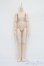 画像1: MDD/ベースボディ S-25-08-10-114-SK-ZS (1)