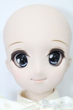 画像2: DDS/DDH-04ヘッド＋ボディ S-25-08-10-008-SK-ZS