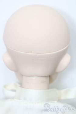 画像5: DDS/DDH-04ヘッド＋ボディ S-25-09-28-442-SK-ZS