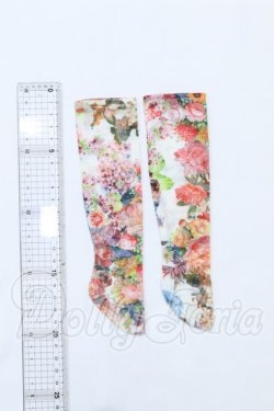 画像2: DearSD/OF:靴下 S-26-04-19-092-SK-ZS