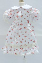 SDM＆MSD/OF:ワンピース S-25-12-07-018-SK-ZS