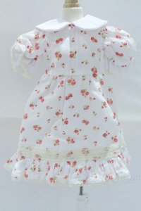 SDM＆MSD/OF:ワンピース S-25-12-07-018-SK-ZS