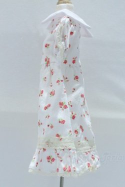 画像2: SDM＆MSD/OF:ワンピース S-25-12-07-018-SK-ZS