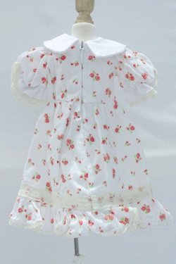 画像3: SDM＆MSD/OF:ワンピース S-25-12-07-018-SK-ZS