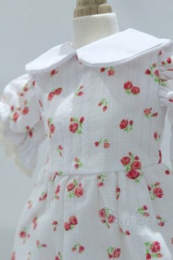 画像4: SDM＆MSD/OF:ワンピース S-25-12-07-018-SK-ZS