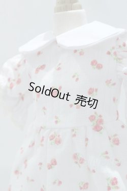 画像4: SDM＆MSD/OF:ワンピース S-25-12-07-018-SK-ZS