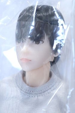 画像2: 六分の一男子図鑑/エイト B2207 S-25-12-28-065-SK-ZS