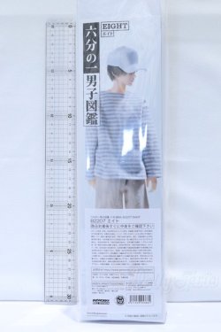 画像5: 六分の一男子図鑑/エイト B2207 S-25-12-28-065-SK-ZS