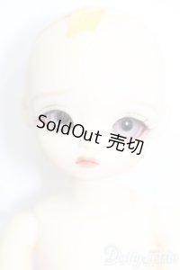 LEEKEWORLD/Honey S-25-10-19-406-SK-ZS