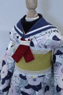 画像3: SDM/OF:Godzilla bjd様製　衣装セット S-26-02-08-056-SK-ZS