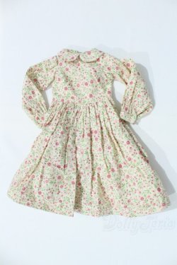 画像1: SD/OF:ワンピース S-25-11-09-040-SK-ZS