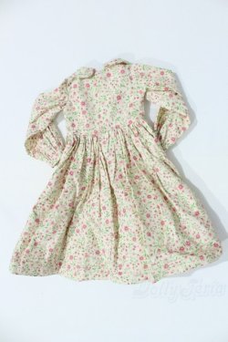 画像2: SD/OF:ワンピース S-25-11-09-040-SK-ZS