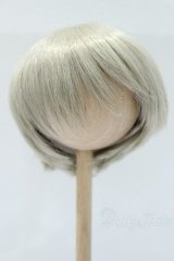 9〜10inch/ウィッグ゛：LEEKEWORLD製　ARTWIG(L) Rowan_Evecocktail S-25-11-02-048-SK-ZS