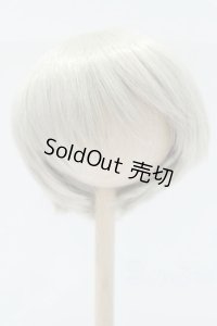 9〜10inch/ウィッグ゛：LEEKEWORLD製　ARTWIG(L) Rowan_Evecocktail S-25-11-02-048-SK-ZS