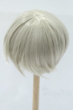 画像2: 9〜10inch/ウィッグ゛：LEEKEWORLD製　ARTWIG(L) Rowan_Evecocktail S-25-11-02-048-SK-ZS