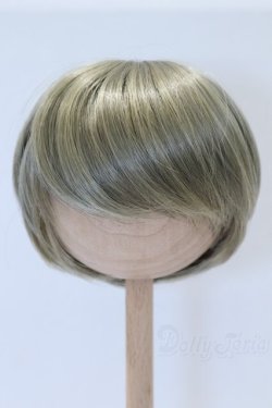 画像1: 8〜9inch/ウィッグ：LEEKEWORLD製 S-26-01-18-096-SK-ZS