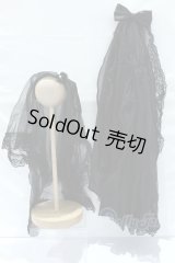 SD/OF ゴシックレースベール&トレーンセット：VOLKS製 S-26-02-22-457-SK-ZS